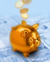 piggy bank - we put coins in piggy bank