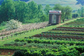 Garden - Vegetable garden and pavilion