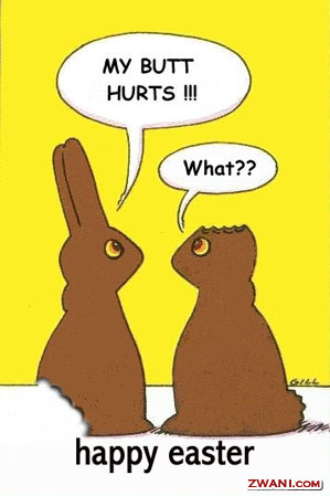 Easter Bunnies - Funny Bunnies