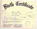 birth certificate - a picture of a birth certificate