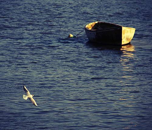 Lost At Sea... - Lost At Sea... Lost At Sea... - Lost At Sea...