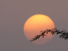 The beautiful world - This photo is the seen of sun set behind a tree.
It is looking very peacefull and calm to see this picture.