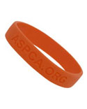 ASPCA Orange Bracelet - Go orange for the animals this month! ASPCA Orange Bracelet - Go orange for the animals this month!