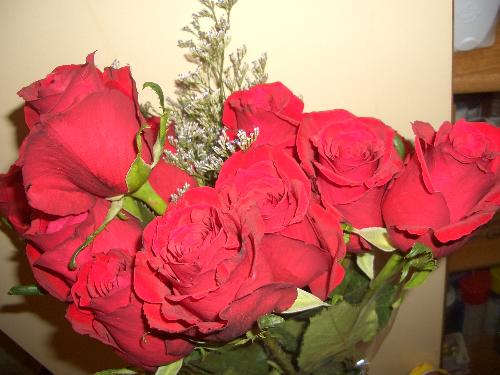 Red Roses - A Bouquet of Red Roses