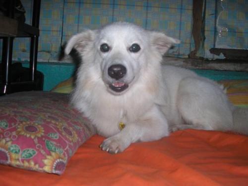 that's me!!! - This is my dog... I will upload more pictures in the future...
