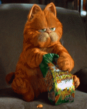 garfield - The most favourite sports i like is sleeping,the person that i like most is myself,my best friend is mirror,what i am intolerance is hunger.