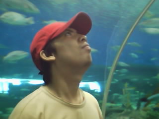 me - simple and dreaming