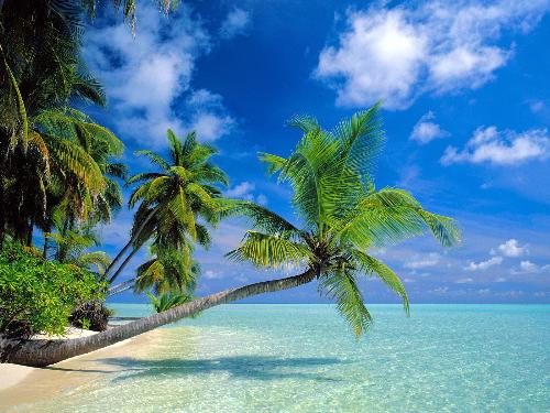 beach,andamans,india - It's a beach of Greater Andaman,India