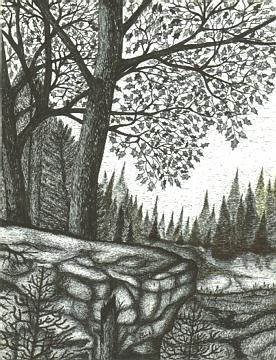 Nature's Best - Ink drawing, was a memory of when I was a child at my grandparents.