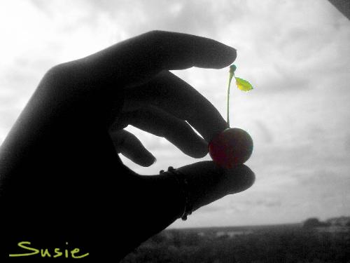 cherry - cherries 4 you :D