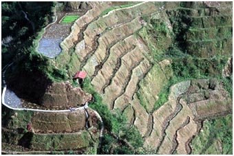 Philippine rice terrace - This is philippines beautiful rice terraces. Awesome view!