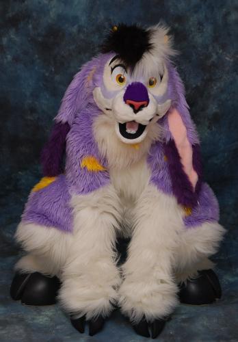 sophie - a furry friend
