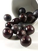 Acai Berry - Little purple berry