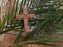 Cross and Palms - Cross and Palm branches, bringing thoughts of Palm Sunday