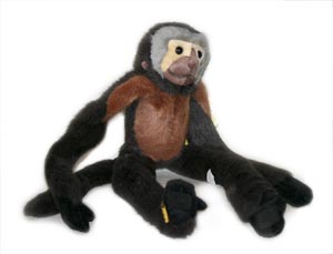 Spider Monkey Toy - I love these monkeys so cute. I have a purple velcro spider monkey here in my home. I like collecting pics of them mostly.