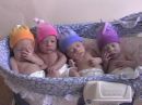babies by the basket - exemplifies the quench of angelina jolie and brad pitt for babies and the eerie effect it has on the thinking, sensitive public.