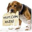 Mylot - A dog holding a sign saying 'MYLOT.COM RULES!'.