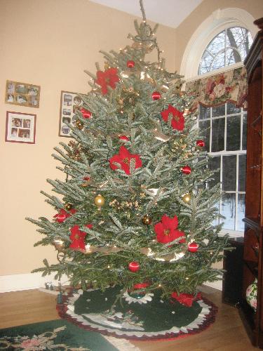 Christmas Tree in our house - we decorated the tree a bit differently than usual last year