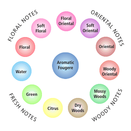 Perfume - Fragrance Wheel perfume classification chart.