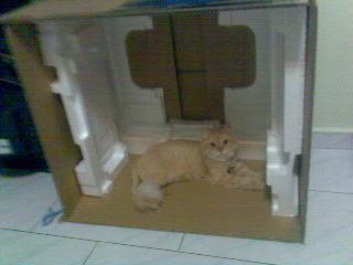 My baby.. - She thought it was for her...-.-