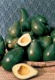 butter fruit - butter fruit is not common here