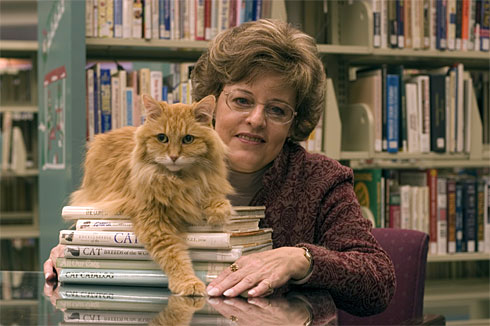 Dewey - Dewey the library cat. Pick up the book 'Dewey' to read about this amazing cat that turned a failing library around and put their town on the map. Very heartwarming and very sweet story.