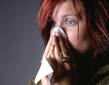 common cold - it is the disease affecting most people of this world.