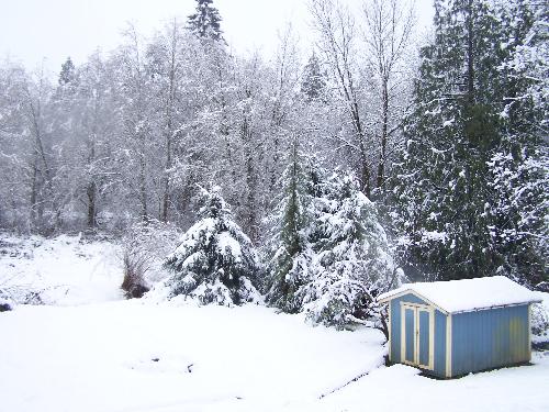 Snow in the Back Yard - There is a river down below its snowed for days