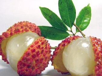 litchi - the fruit i like the best