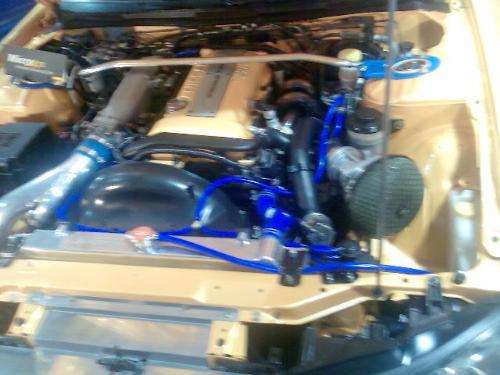 Cars - Engine waxed and cleaned
