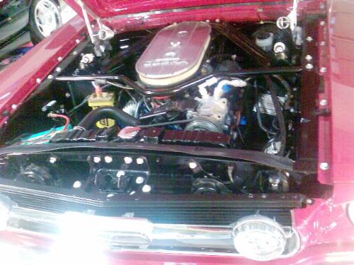 Cars - Red car engine show
