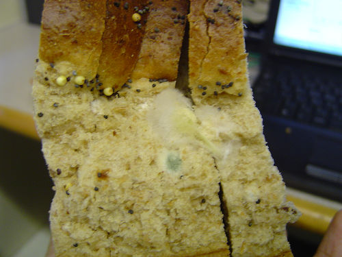 Bread with mould - How can I prevent this?
