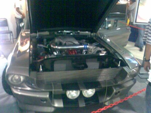 Cars - eleanor's brain for all to see