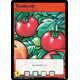 Tomatoes (TCG) (special) - Tom-ahhhhhh-toes. There are over 20 different tomato based food items that you can buy and feed to your pets. One of the cheapest is the ones that you can get from the Pick Your Own game.
