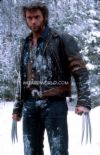 wolverine - shows a picture of wolverine, obviously, from the first x men movies. wolverine - shows a picture of wolverine, obviously, from the first x men movies.