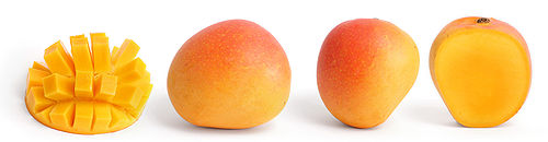 Fruits are very good for our health - Mangoes - Mangoes belong to the genus Mangifera, consisting of numerous species of tropical fruiting trees in the flowering plant family Anacardiaceae. The mango is indigenous to the Indian Subcontinent especially India, Pakistan, Bangladesh, and Southeast Asia. Cultivated in many tropical regions and distributed widely in the world, mango is one of the most extensively exploited fruits for food, juice, flavor, fragrance and color, making it a common ingredient in new functional foods often called superfruits. Its leaves are ritually used as floral decorations at weddings and religious ceremonies. Its also the national fruit of The Philippines.