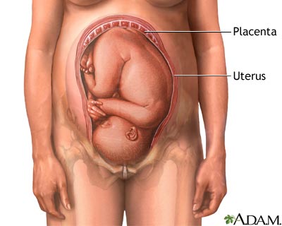 Baby in womb - what a 36 week baby looks like.