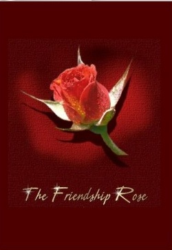 friend - friendship rose