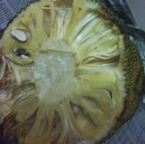 jack fruit - they sweet and yummy jackfruit which we had recently. this fruit well known makes a 3 time food during its season to the keralites