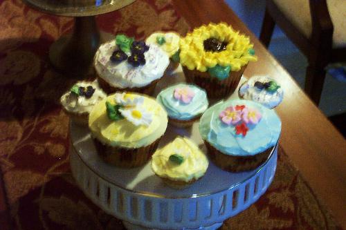 Cupcakes - Variety of cupcakes