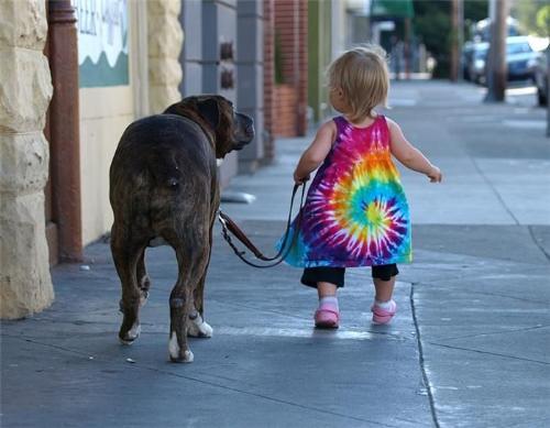 young boy drag a big dog in the street - from the picture we can see a young boy drag a big dog,looks very fun.
