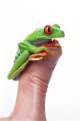 Green Thumb - Thumbs Up! Have a Green Day!