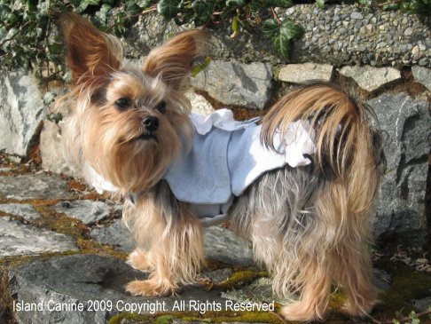 Dressed For Success - Roxy modeling her latest custom made outfit.