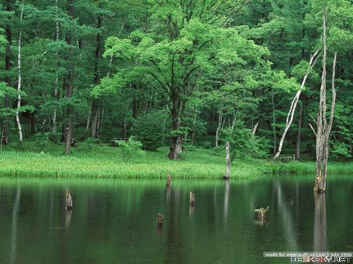 nature  - It is scence of nature in china