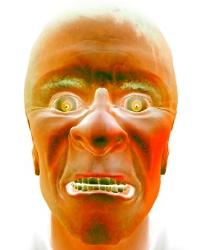 The FACE - The face, as visualized by.....
