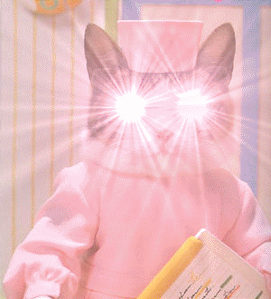 cat - a lighting cat