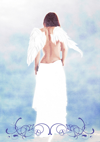 angel - angel's wings