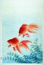 Gold fish and their name - My pets are two cute and beautiful gold fishes. Please suggest some good names for the pair of fishes.