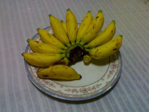 banana - This was taken by my nephew. Banana from philippines called señerita