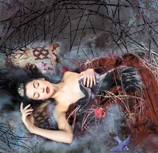 sleeping beauty  - a sleeping princess waiting for a kiss to break the enchantment ;)